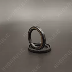 28,56*39*4,8 NS01W NBR [BAHD]